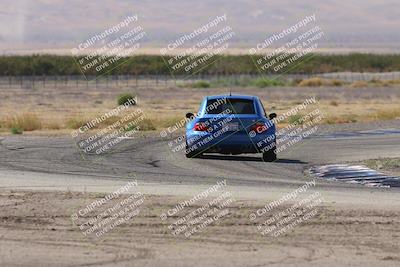 media/Oct-04-2025-OnGrid (Sat) [[44bd565ffa]]/Yellow Group/Grapevine/